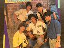 #1 HARD TO FIND PUERTO RICO MENUDO RICKY MARTIN RCA RECORDS 1985 LP VINYL