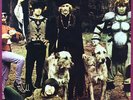 Bonzo Dog Doo-Dah Band - The Doughnut In Granny's Greenhouse (LP, Album, RE)