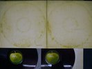 BEATLES WHITE ALBUM APPLE AP-8570,1 Japan RED VINYL POSTER VINYL 2LP