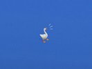Untitled Goose Game LP Original Soundtrack [iam8bit]