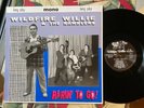 Wildfire Willie & The Ramblers ‎– Rarin' To Go  Rockabilly LP
