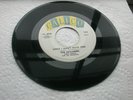 45 RPM  /  R & B  DOO  WOP  /   SINCE I DON'T HAVE YOU /  THE SKYLINERS  /  VG++