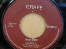 SPRONG AND THE NYAH SHUFFLE MOON WALK / THINK UK GRAPE 7