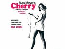 RUSS MEYER - CHERRY & HARRY & RAQUEL - FILM SOUNDTRACK - STEREO LP REISSUE