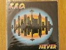 T.F.O - Never 12 Inch Vinyl Rare Italian Zone