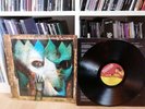 Paradise Lost - Shades Of God, Vinyl, 1st Press