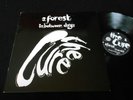 THE CURE/A FOREST/IN BETWEEN DAYS/MAXI 45T PROMO/FICTION UK /ML