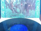 Creedence Clearwater Revival (Self-titled) 1st Press/Cover, DG Fantasy Records