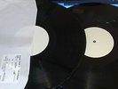 Chelsea - Evacuate - RARE TEST PRESSING Vinyl DLP , punk, gene october
