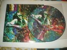 LED ZEPPELIN beautiful picture disc