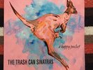 A Happy Pocket The Trash Can Sinatras 12 inch Analog Studio album Go Discs