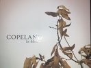 Copeland In Motion Brown vinyl #16 SRC Unplayed