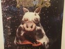 Primus - Pork Soda - Vinyl LP Record  1993 Prawn Song/Interscope Records SEALED