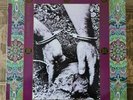 PainKiller ?– Buried Secrets John Zorn Bill Laswell Original 1st press LP