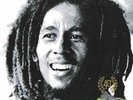 Bob Marley & The Wailers - Kaya 40 Vinyl 2LP NEU 0650107