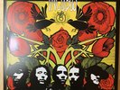 INCUBUS A CROW LEFT OF THE MURDER Used VINYL RECORD Store Day RSD OOP Numbered