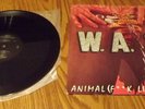 W.A.S.P. (Wasp) Animal ( F**K LIKE A BEAST) 12 inch Single 1st US Press  NM / M