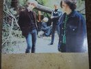 The Pastels - Sittin' Pretty Vinyl The Vaselines Nirvana Kurt Cobain