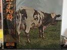 PINK FLOYD ATOM HEART MOTHER ODEON OP-80102 1970 Japan Vinyl LP Inserts Mint-