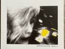 Emmylou Harris, Wrecking Ball, Grapevine pressing