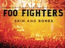 Foo Fighters-Skin and Bones Vinyl / 12