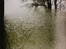 Bon Iver-For Emma Forever Ago (UK IMPORT) Vinyl / 12