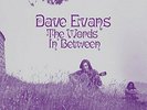 Dave Evans-The Words Inbetween (UK IMPORT) VINYL NEW