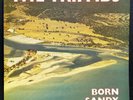 The Triffids - Born Sandy Devotional - 1986