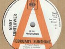 GIANT SUNFLOWER**FEBRUARY SUNSHINE**DEMO**THE CBS LABEL**HEAR IT