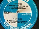 Bass Master Warriors ?– Before I Let Jungle Go. Hardcore Jungle RARE