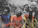 Tamam Shud Limited Edition Sealed US Reissue LP Evolution 2016 Prog Psyche Surf