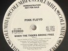 Pink Floyd When The Tigers Broke Free 12