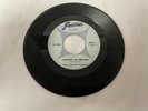 Peter & The Prophets - Johnny of Dreams ? FENTON 2050 MICHIGAN GARAGE 45 ROCK