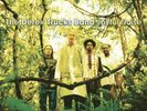 The Derek Trucks Band JOYFUL NOISE 180g LIMITED New Green Colored Vinyl 2 LP