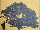 JOHNSON, Jack - In Between Dreams - Vinyl (gatefold LP)
