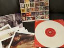 Pearl Jam - NO CODE (White Vinyl)