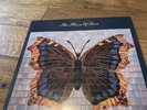 The House Of Love Original Release Album