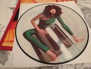 KATE BUSH - The Kick Inside - Rare 1st Press UK Picture Disc LP (Vinyl Record)