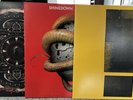 Shinedown Vinyl Records Amaryllis & Threat To Survival & Attention Attention