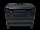 Pilot Case