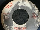 Huckleberry Mudflap, Eyes of blue 7” 45 what a day. VERY SCARCE L-5002