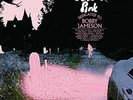 Ariel Pink - Dedicated To Bobby Jameson DELUXE LIMITED EDITION  2-vinyl