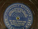 Mont Ward 7572 The Monroe Boys GREAT SPECKLED BIRD  78 rpm COUNTRY  E