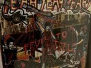 Yeah Yeah Yeahs Fever To Tell Vinyl Lp 2017 Reissue RARE OOP