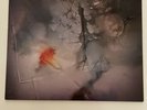 COCTEAU TWINS - SUNBURST AND SNOWBLIND - 12