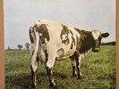 Pink Floyd - Atom Heart Mother SHVL 781  UK LP 1970 Harvest 