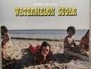 Harry Styles - Watermelon Sugar 7” Black Vinyl New Sealed Limited Edition
