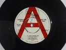 The marvelettes I'll keep holding on tamla motown demo 