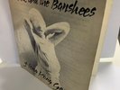 SIOUXSIE & THE BANSHEES - HONG KONG GARDEN - GATEFOLD PS 1978 ORIG PUNK KBD
