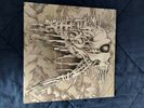 Behold The Arctopus - Nano-Nucleonic Cyborg Summoning Record LP Two Tone Vinyl